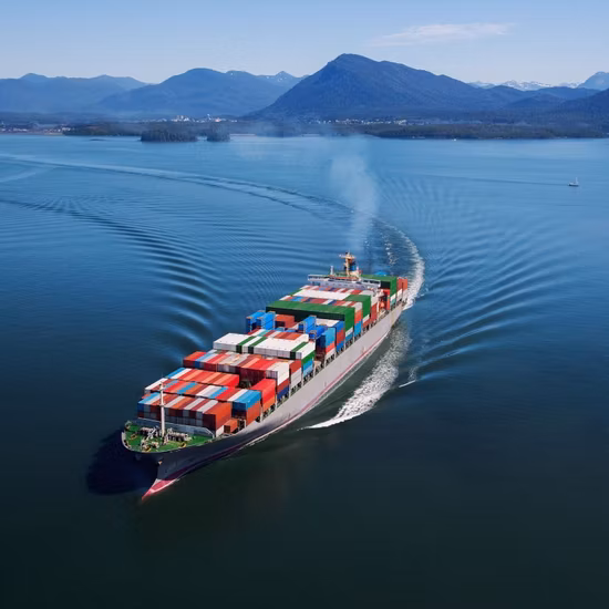 Spedizioniere marittimo internazionale economico da 20FT 40FT LCL FCL dalla Cina