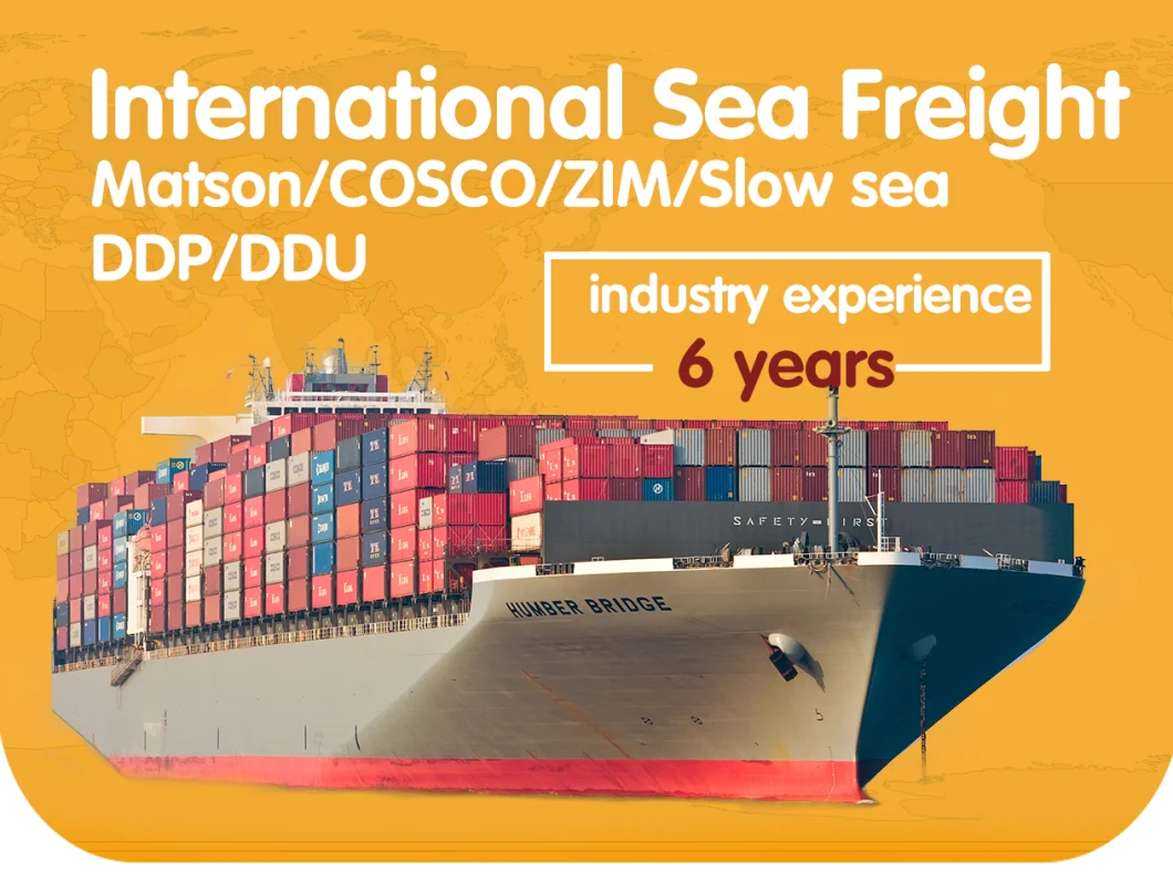 Professional Ocean Freight Shipping Service From China Sea Shipping Agent with Warehousing Fullfillment Service DDP LCL