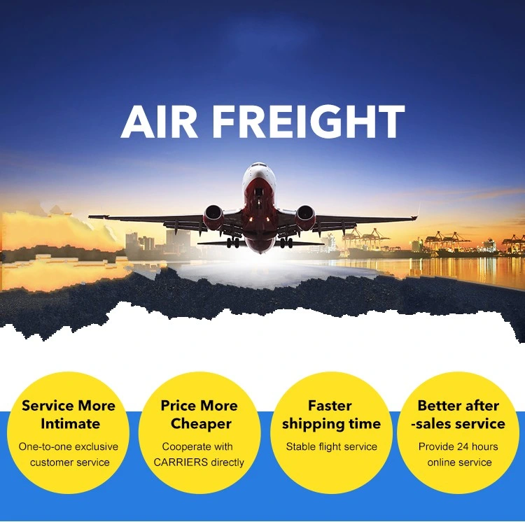 Air Cargo Agent Logistics Company Air/Sea Drop Shipping Cost Fba From China to USA UK/Europe/Germany/Australia with Cheap Shipping Price Air Cargo/Railway/Sea