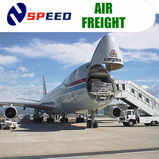 UPS DDP Spedizioniere marittimo/aereo/treno ferroviario Spedizioniere Germania/Francia/Qatar/India/Pakistan/Sri Lanka Tariffe logistiche di esportazione Express