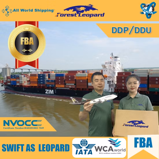 Tariffe di spedizione DDP economiche per servizi di trasporto aereo/marittimo, spedizioniere Amazon FBA dalla Cina a USA/Europa/Regno Unito/Canada, agente logistico