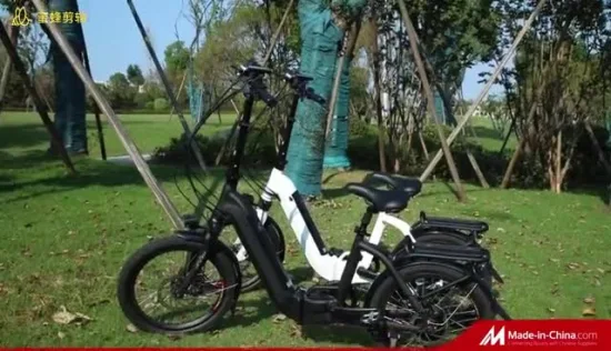 Mini bici elettrica pieghevole per mobilità da 250 W/bicicletta da trasporto urbano per adulti